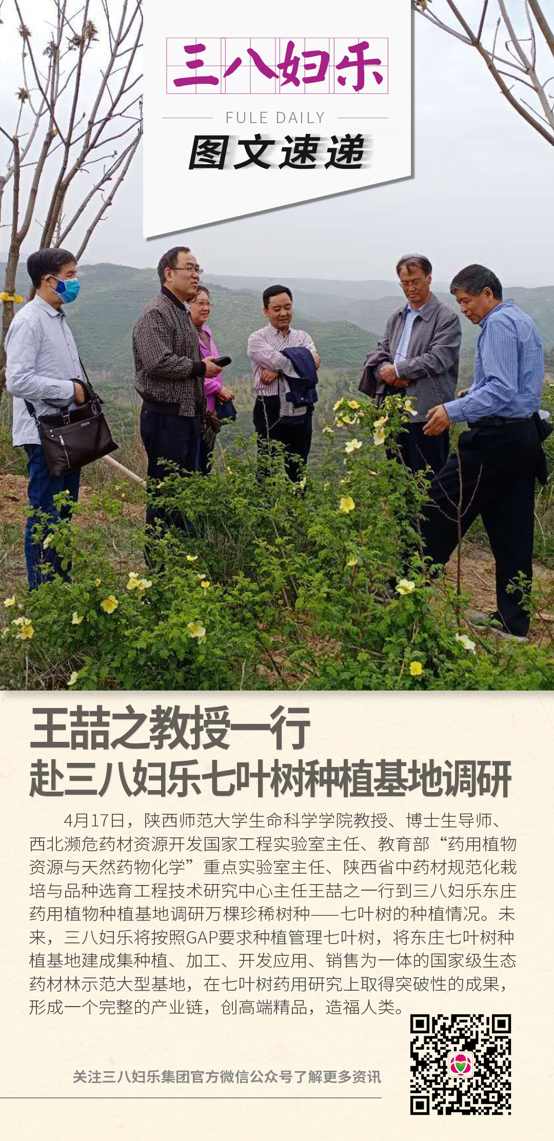 王喆之教授一行赴三八婦樂七葉樹種植基地調(diào)研